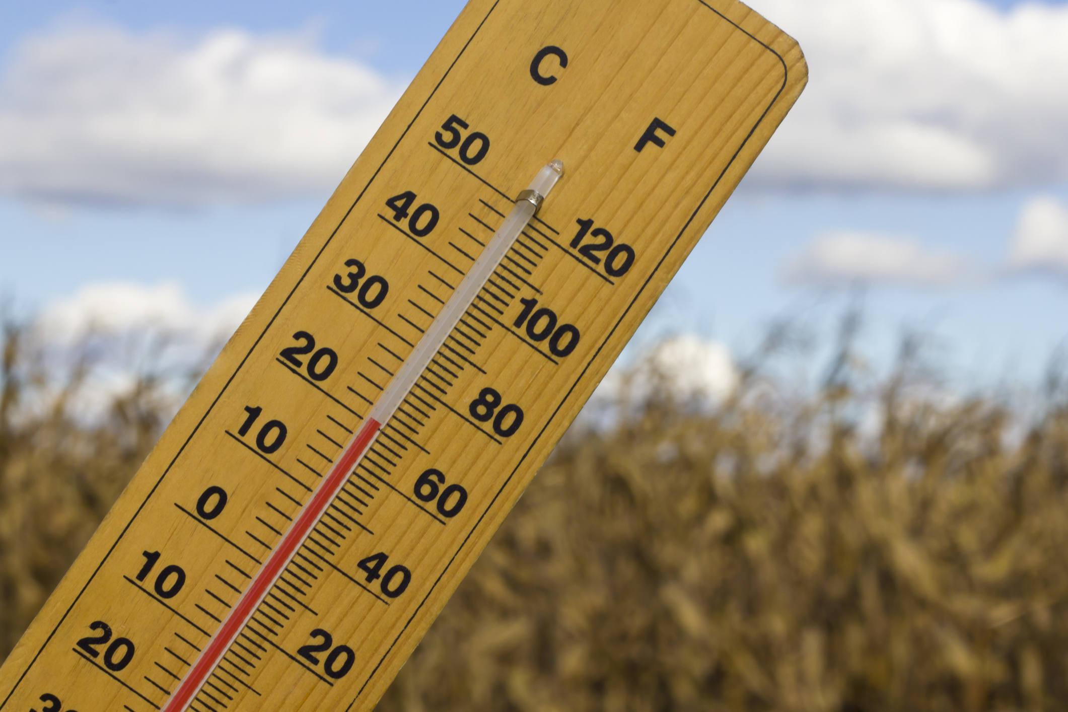 Are you enjoying the cooler weather?