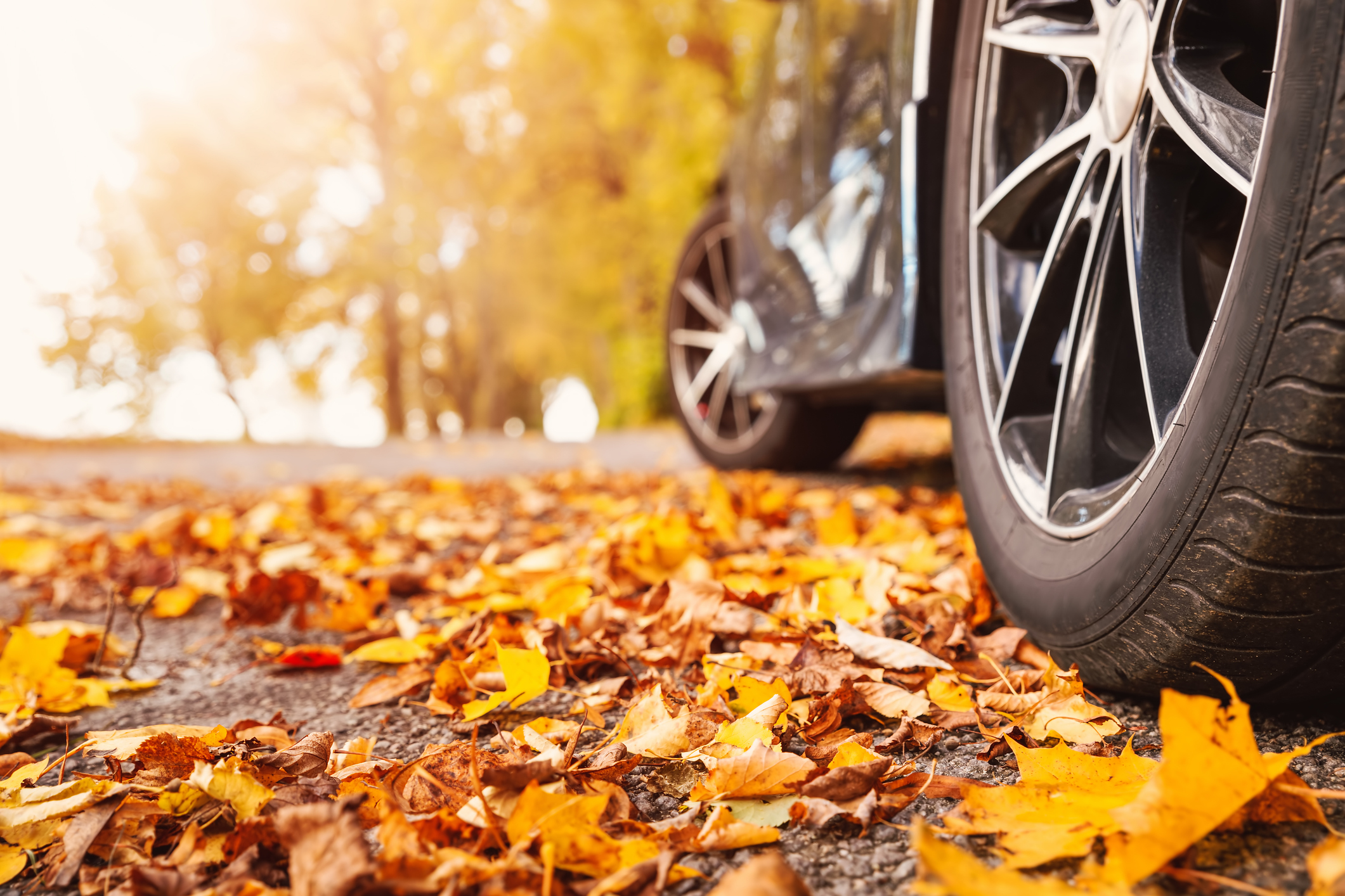 Are you planning to travel for the holidays?
