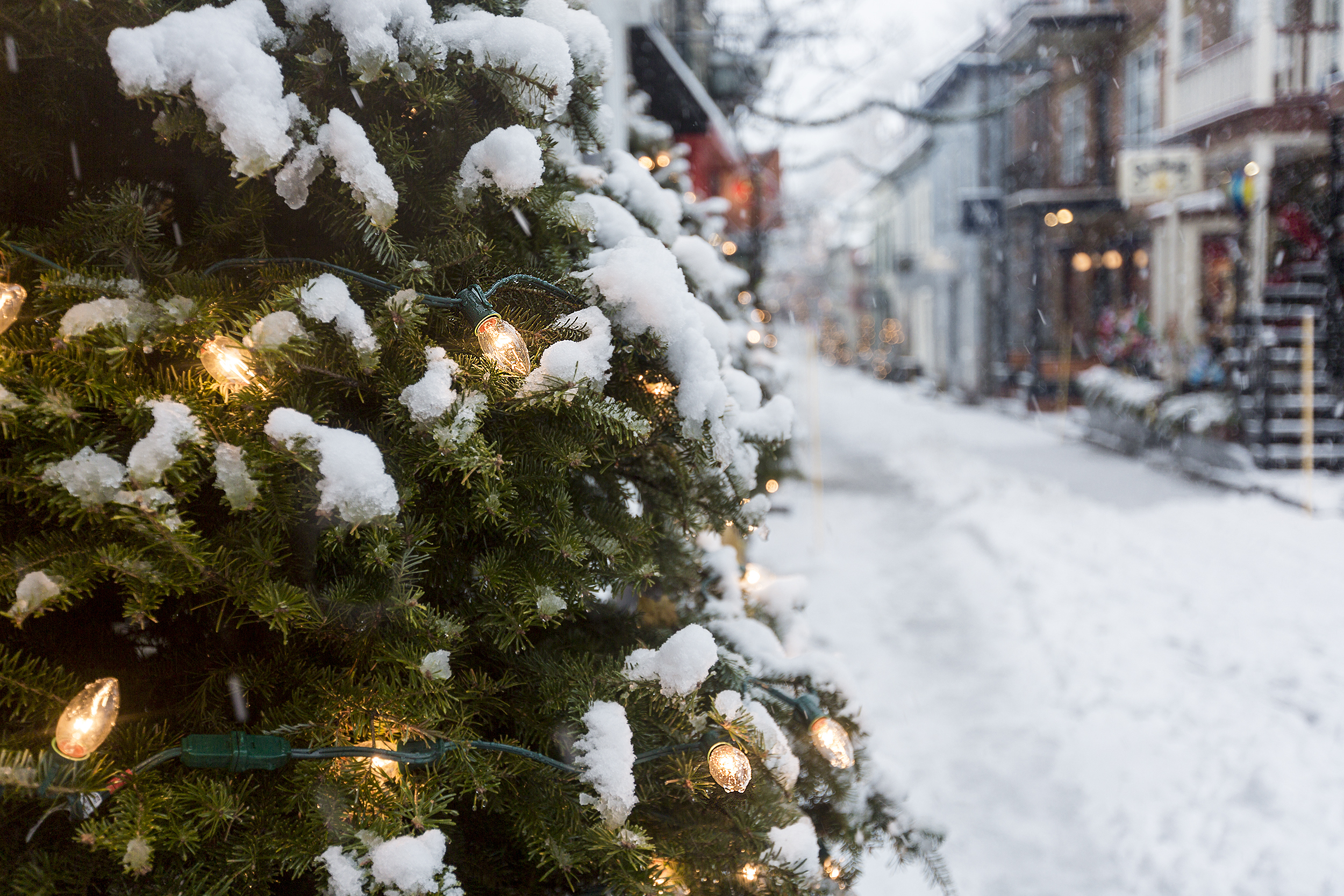 Do you think we'll have a white Christmas?
