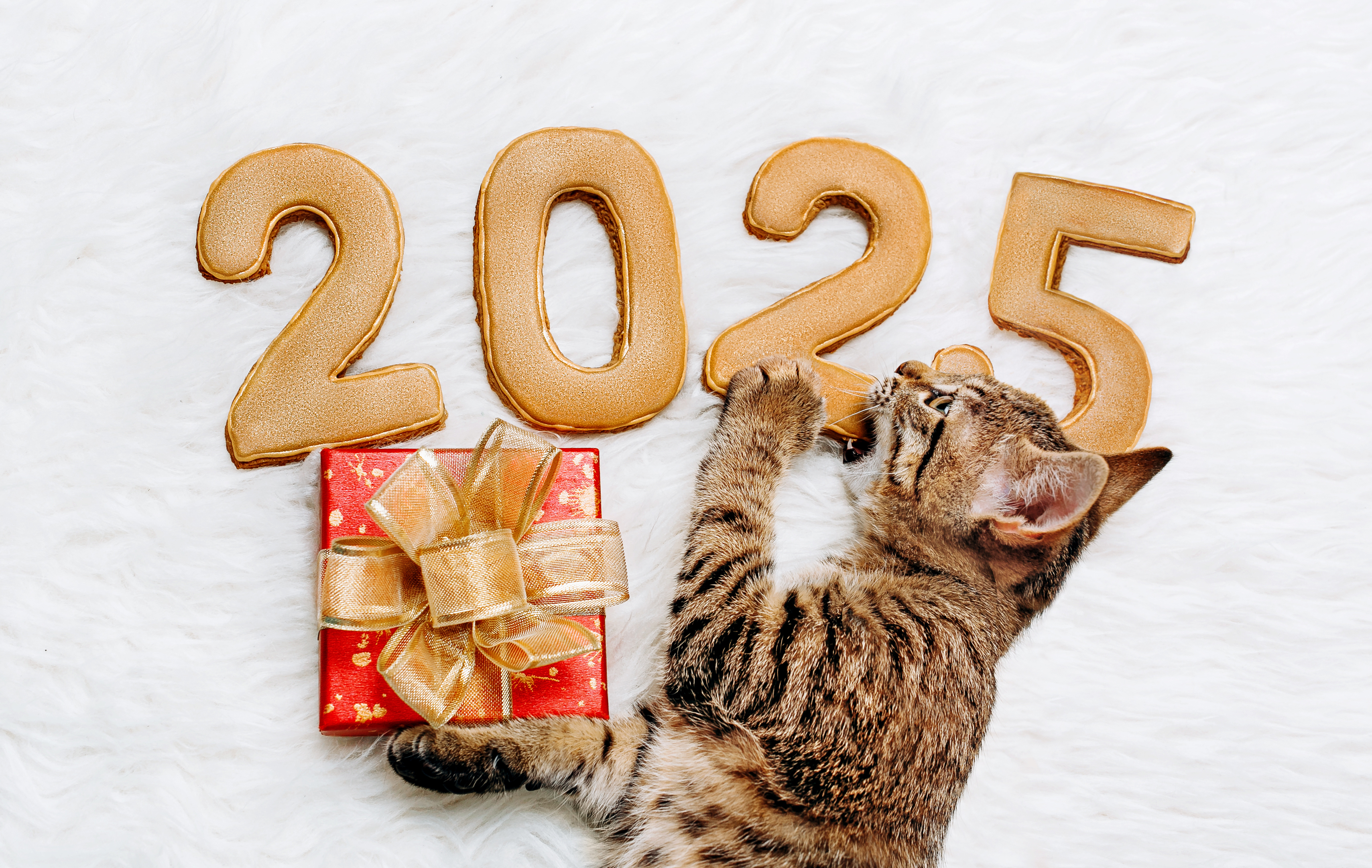 Are you hopeful 2025 will be a good year?