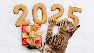 Are you hopeful 2025 will be a good year?