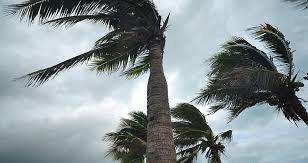 Do you Prepare for Extreme Weather? 
