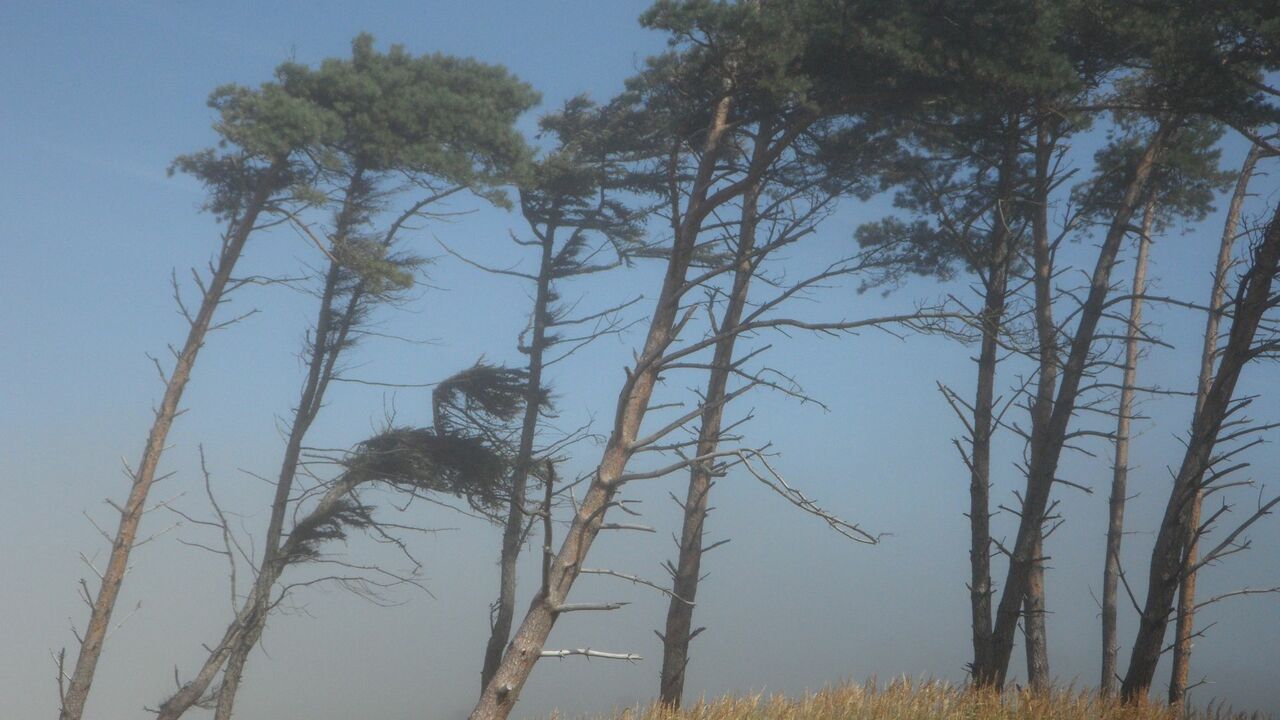 Were you affected by the high winds?