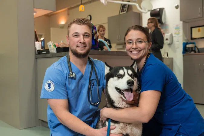 Do you find it's hard to schedule vet appointments for your pet?