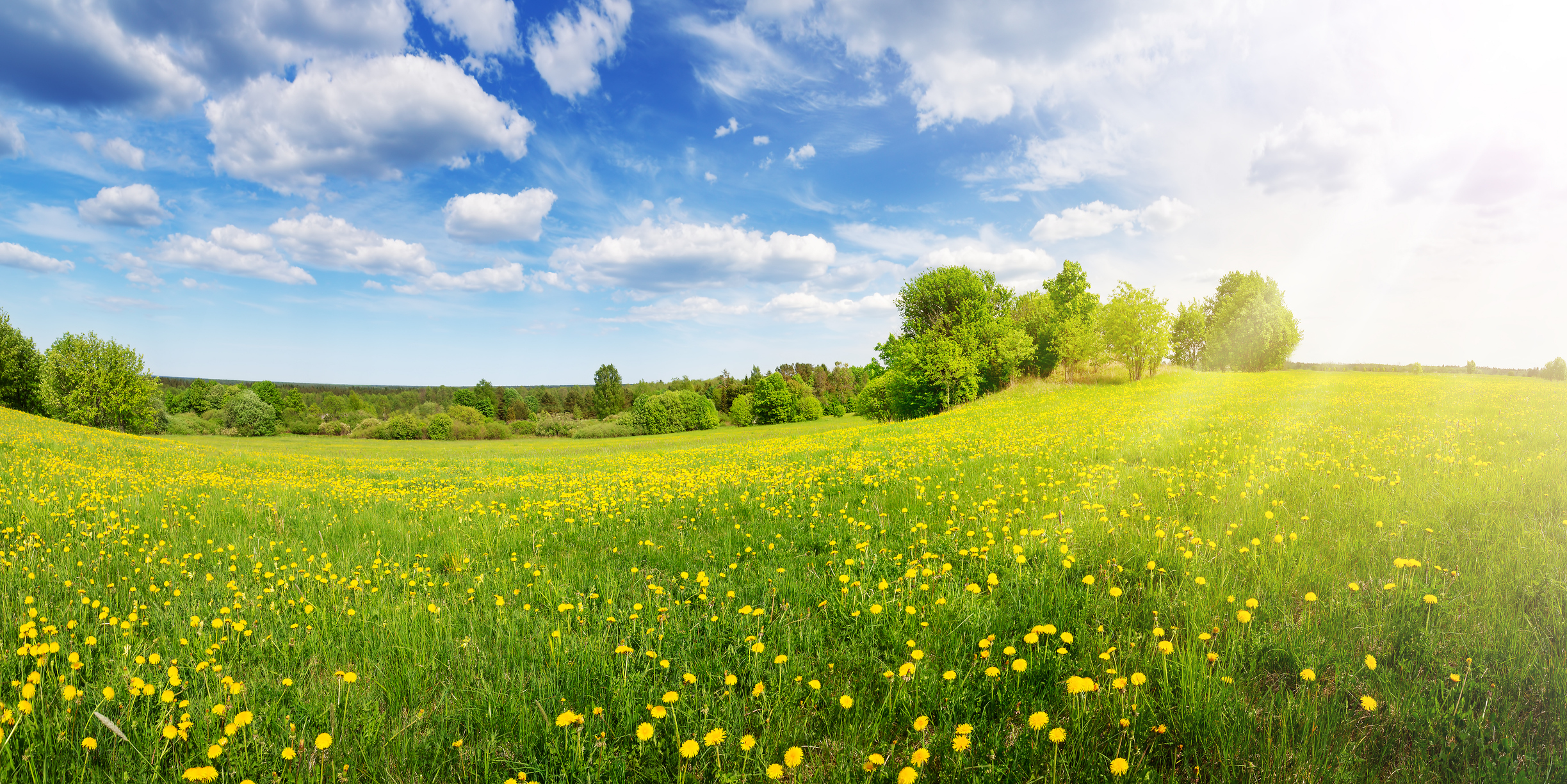 Are you looking forward to spring?