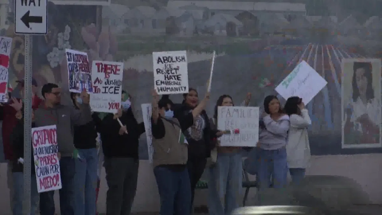 Have you seen ICE Protests in your area? 