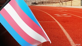 Do you think transgender athletes should be banned from women's sports?