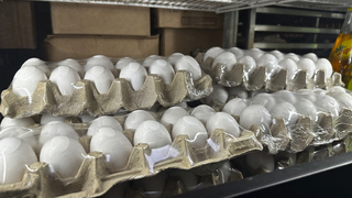 Have you seen higher egg prices in stores?