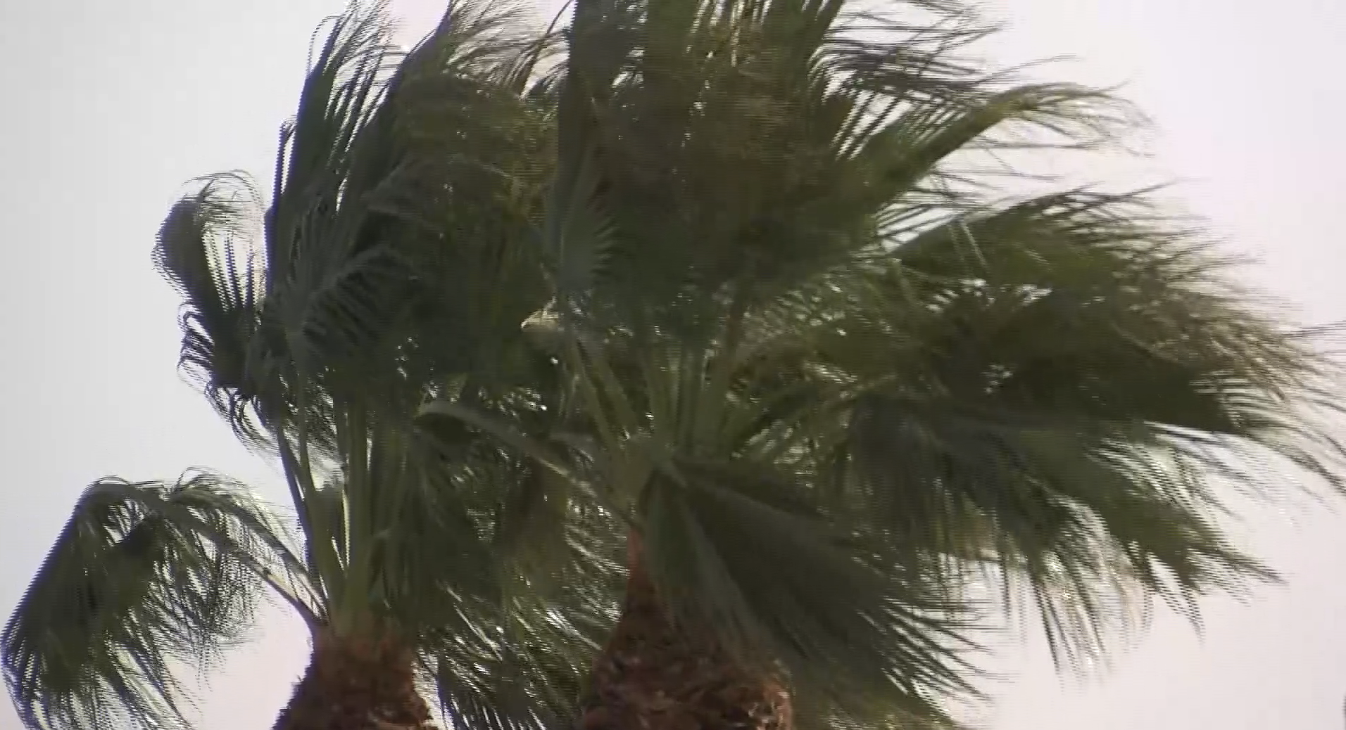 Were you impacted by the recent high winds?