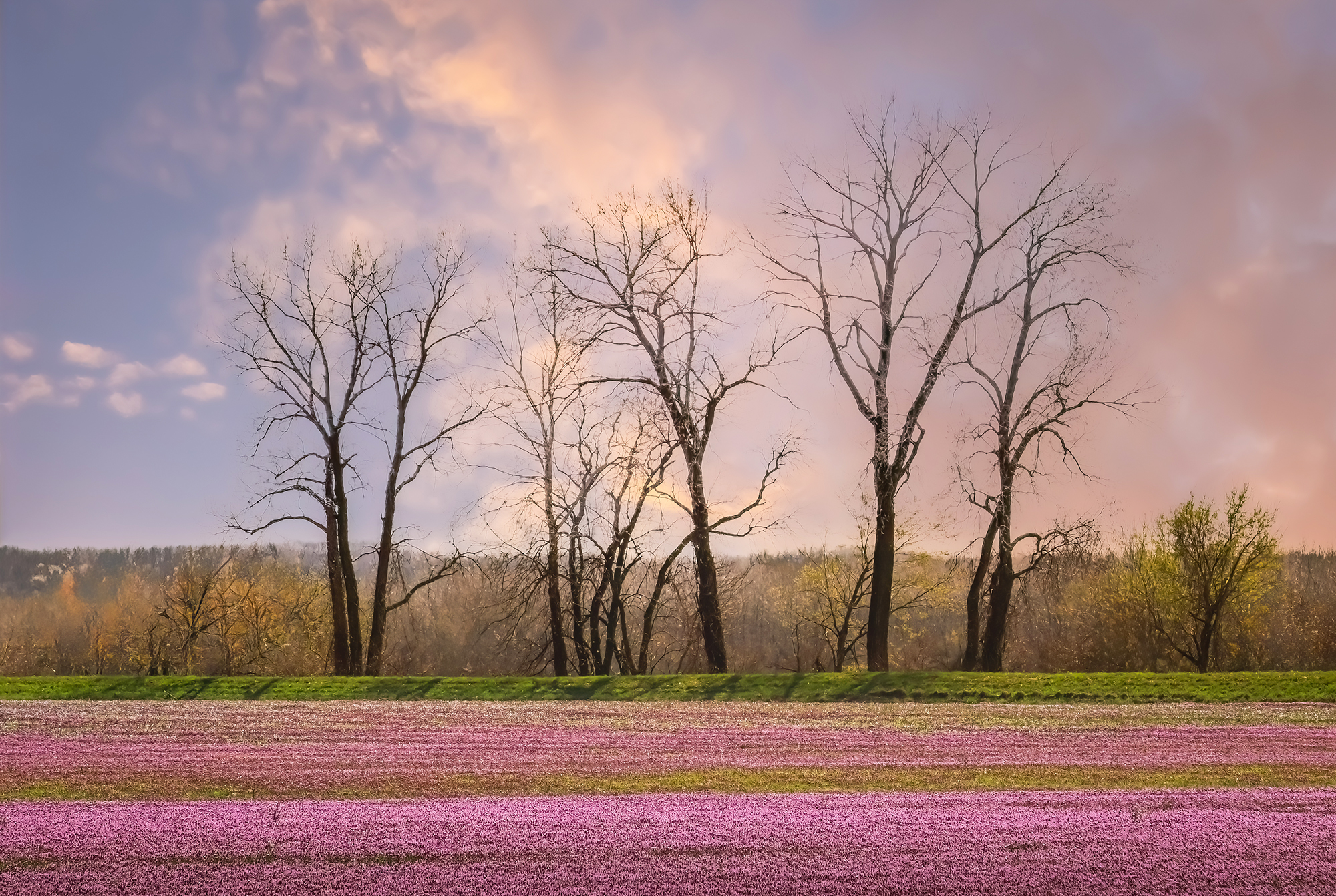 Have you been enjoying the warm weather?