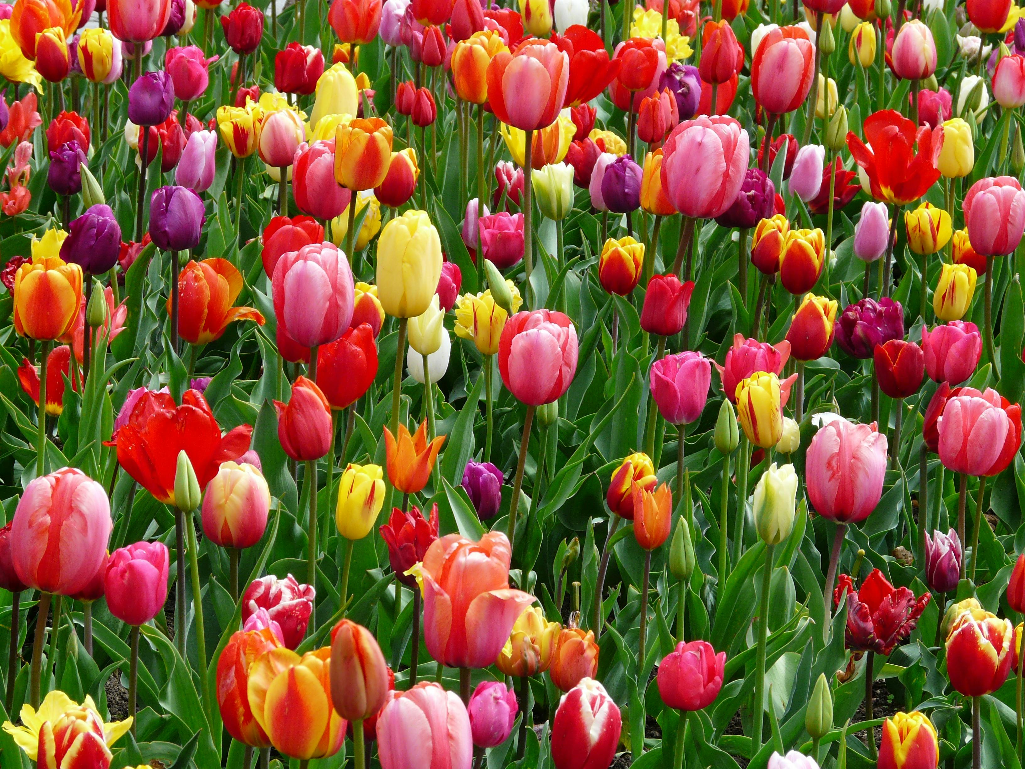 Is spring your favorite season?
