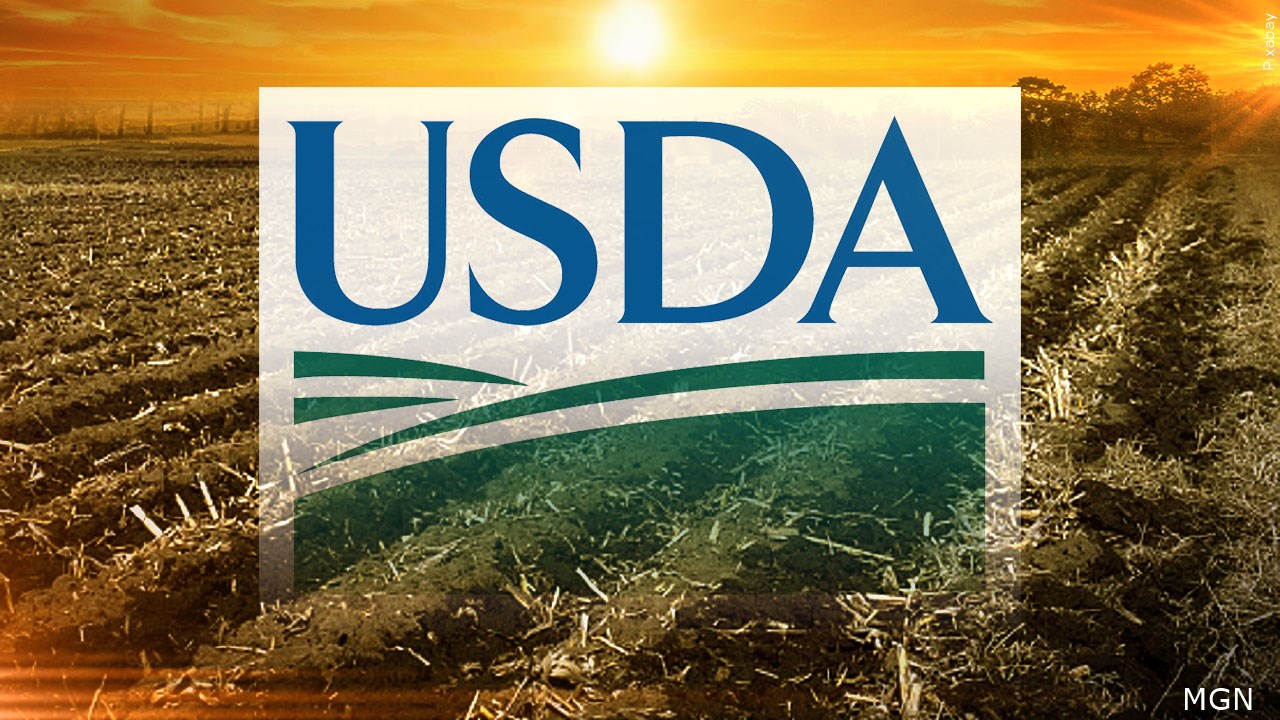 Should the USDA keep the Yuma Rural Department office open?