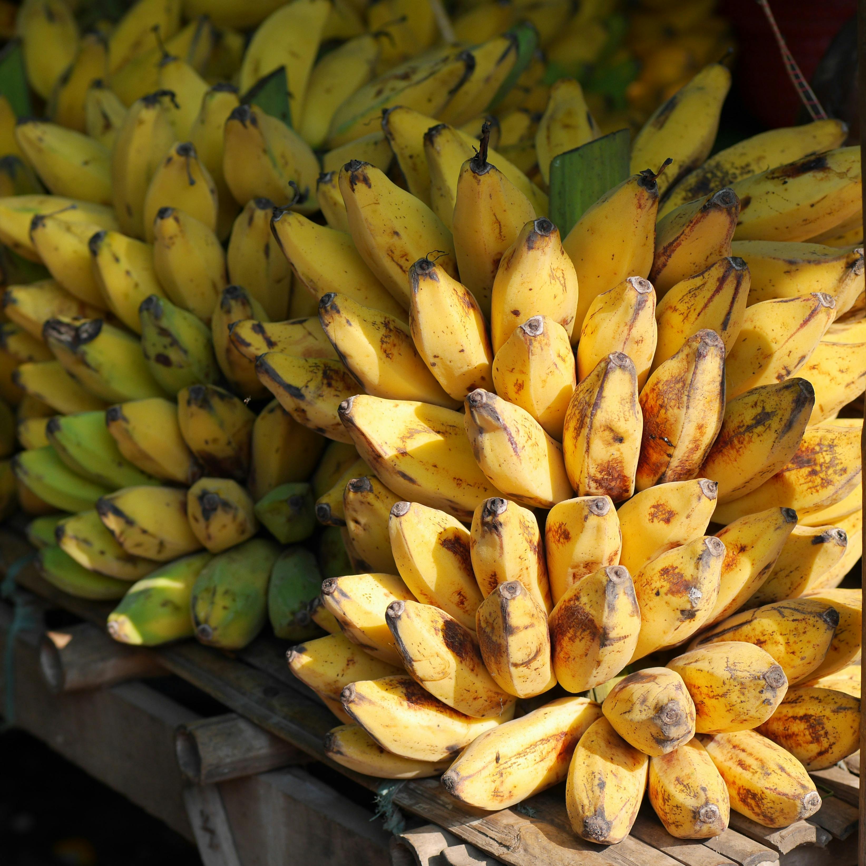 Do you prefer your bananas ripe or not so ripe?