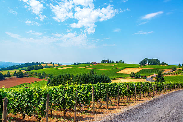 Have you noticed a price increase on Oregon wine? 