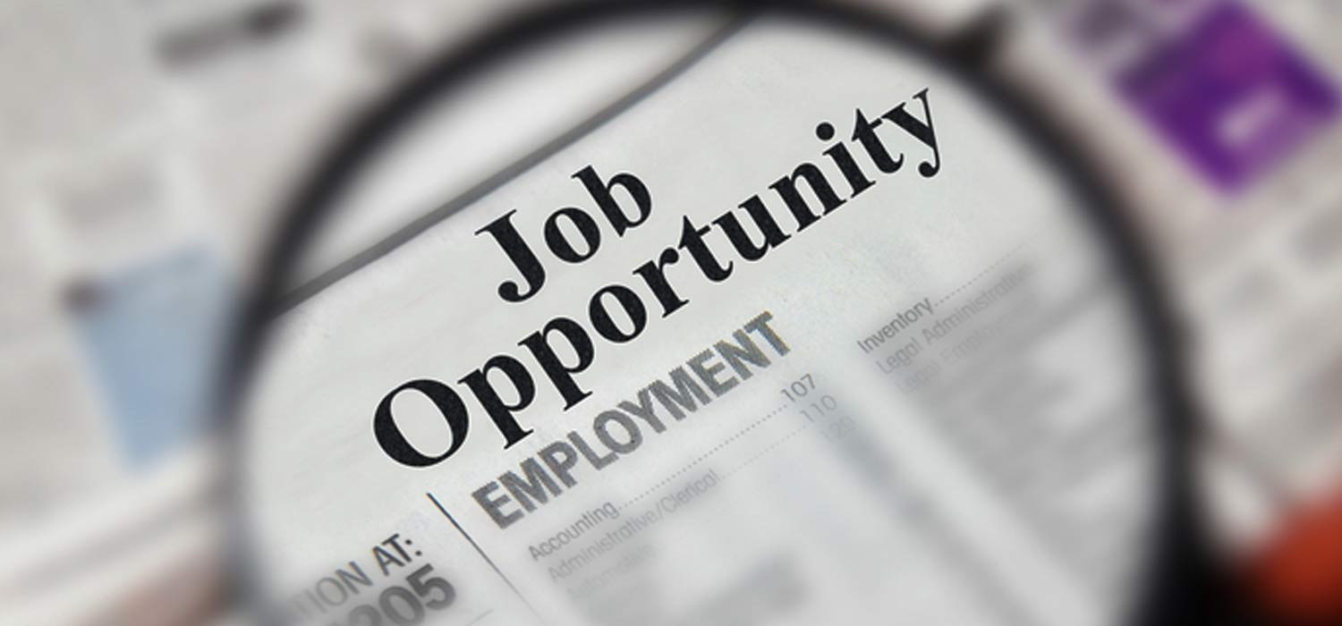 Have you noticed a decrease in the number of jobs available?