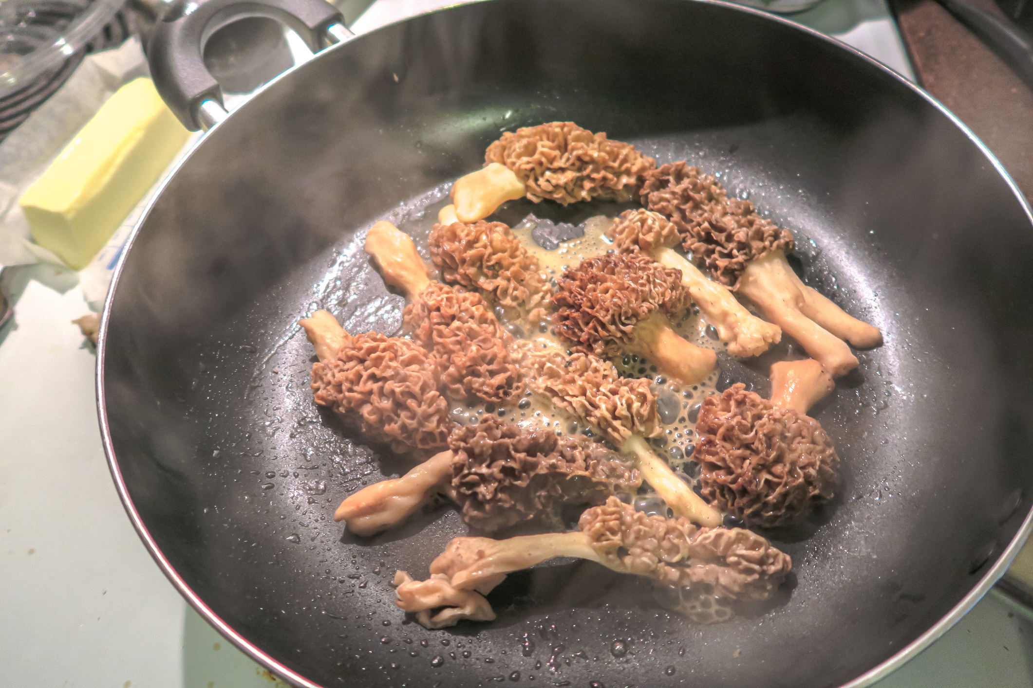 Do you like to eat morel mushrooms?
