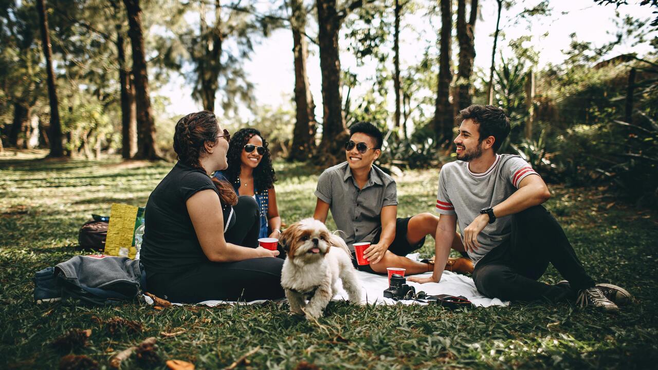 Do you go on picnics?