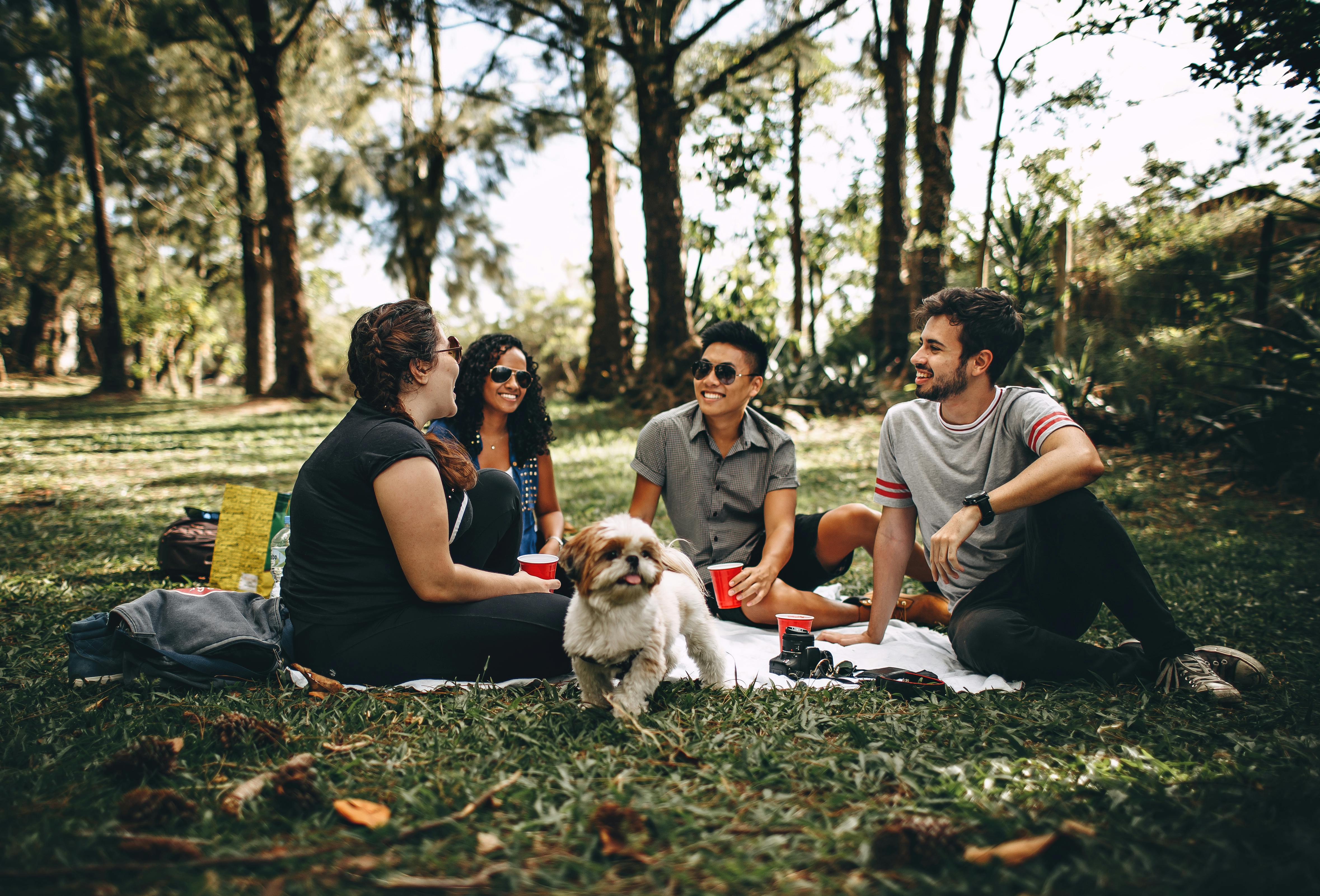 Do you go on picnics?