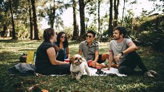 Do you go on picnics?