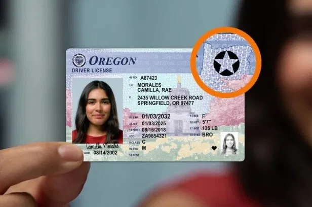 Do you have your real ID or an appointment scheduled to get one? 