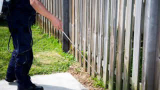 Are you taking extra steps to stop pests in the summer?