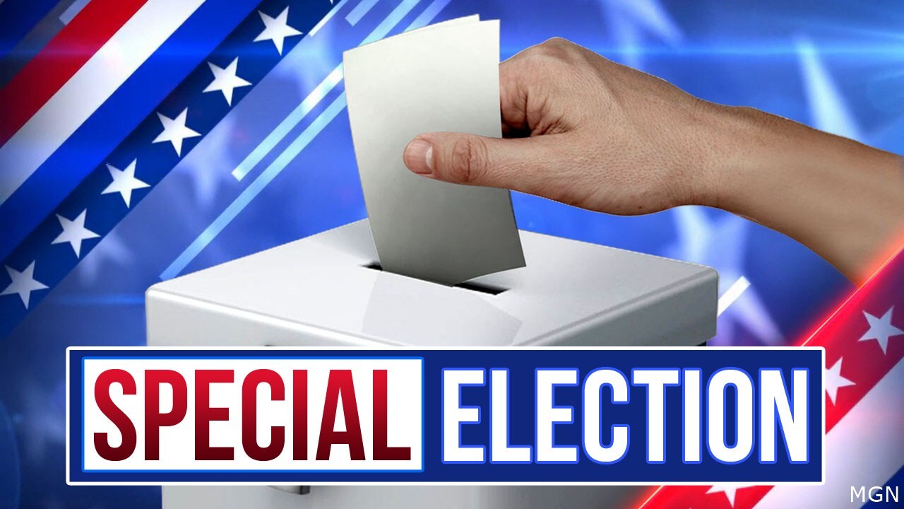 Have you voted yet or made plans to vote in this special election?