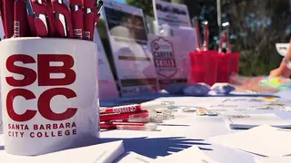 What Percentage of Applications SBCC Received in March were Fraudulent?  