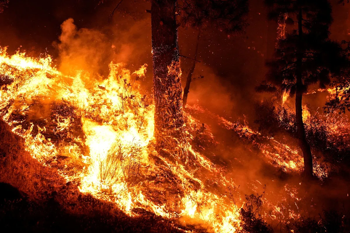  Do you support using kicker money for wildfire funding?