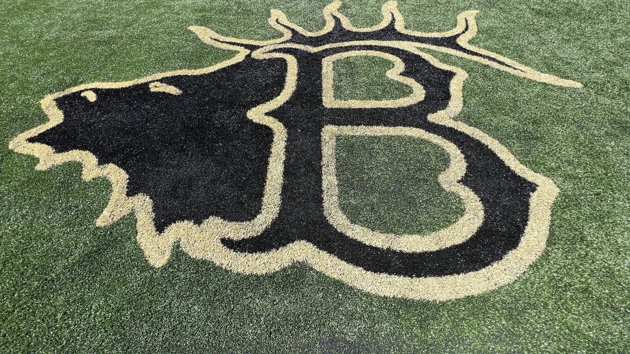 Do you plan on attending a Bend Elks game this season?