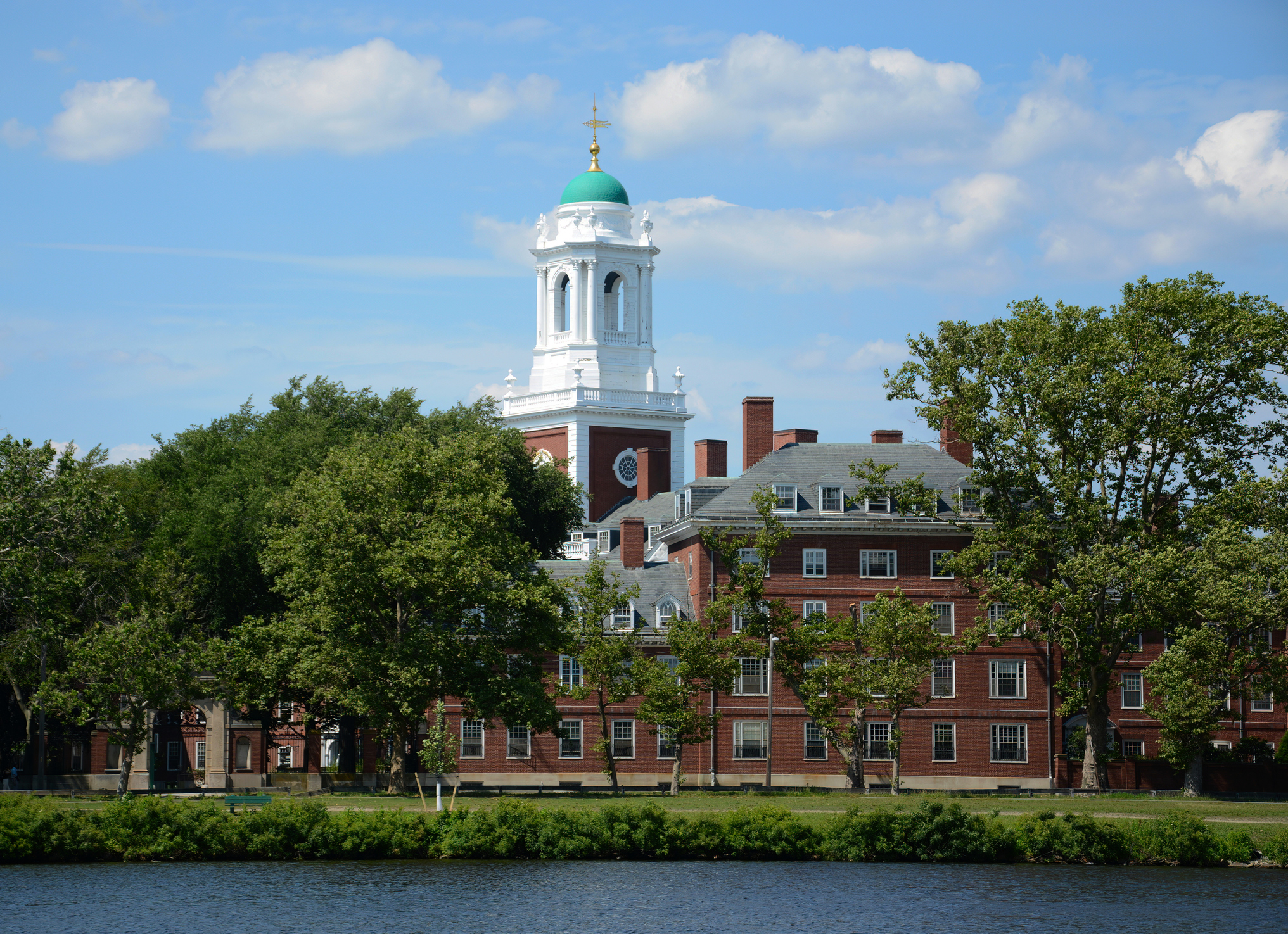 Do you support the Trump administration's actions toward Harvard?