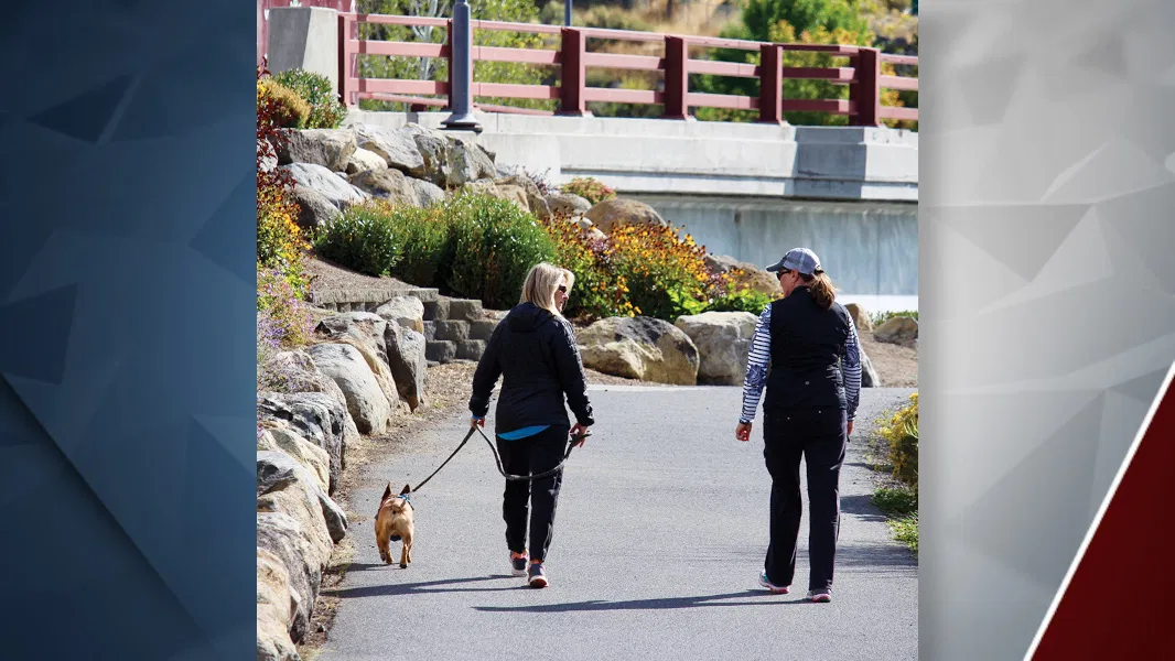 Is someone who lets their pet off-leash in restricted areas considered a 'bad pet owner?'