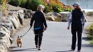 Is someone who lets their pet off-leash in restricted areas considered a 'bad pet owner?'