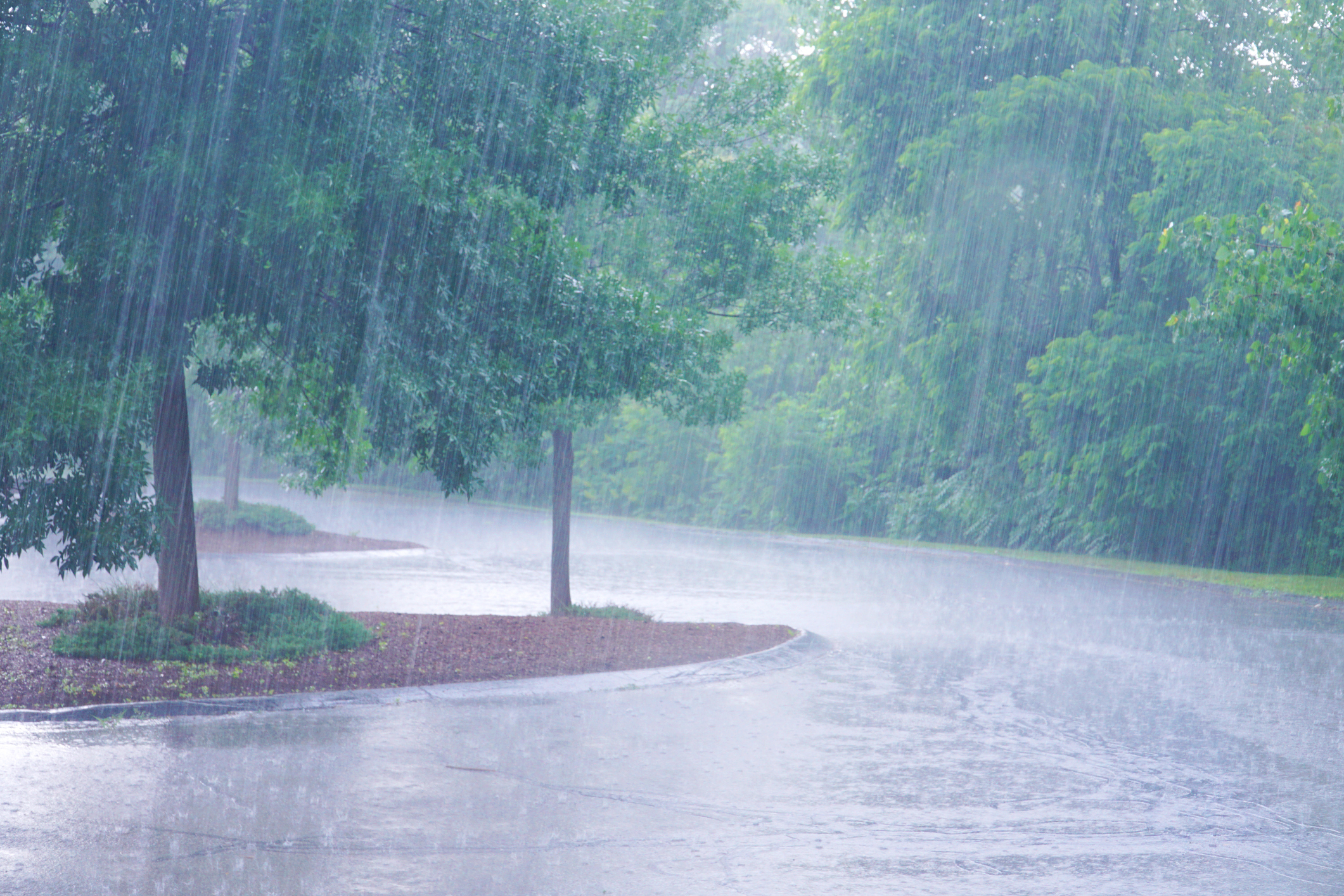 With all the rain we've received recently, have you experienced any flooding?