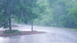 With all the rain we've received recently, have you experienced any flooding?