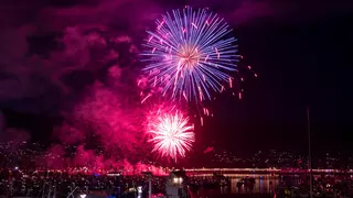 Will You Be Celebrating the Fourth of July? 