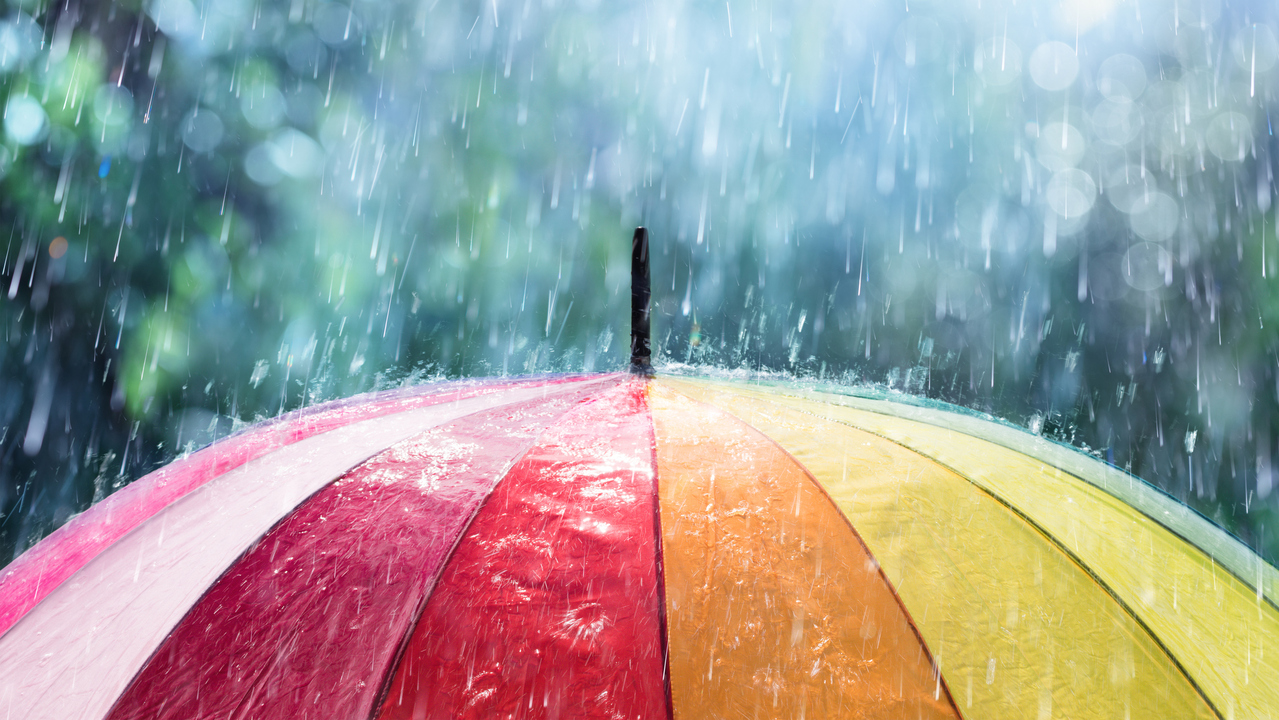 Are you surprised by the amount of rain we've received this summer?