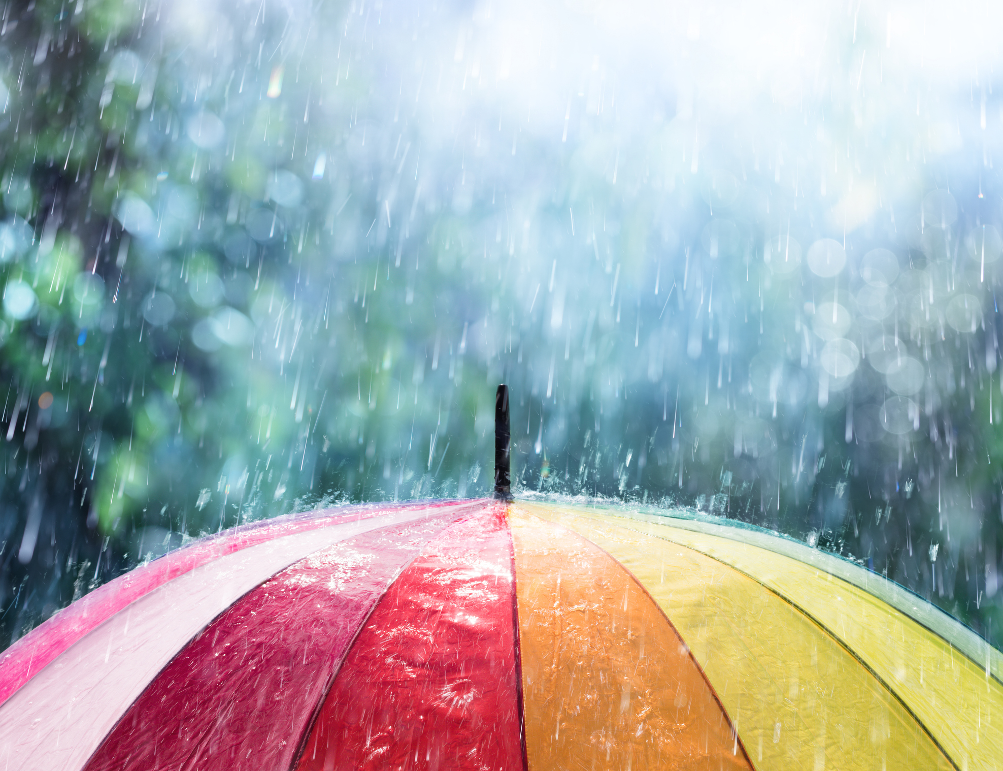 Are you surprised by the amount of rain we've received this summer?