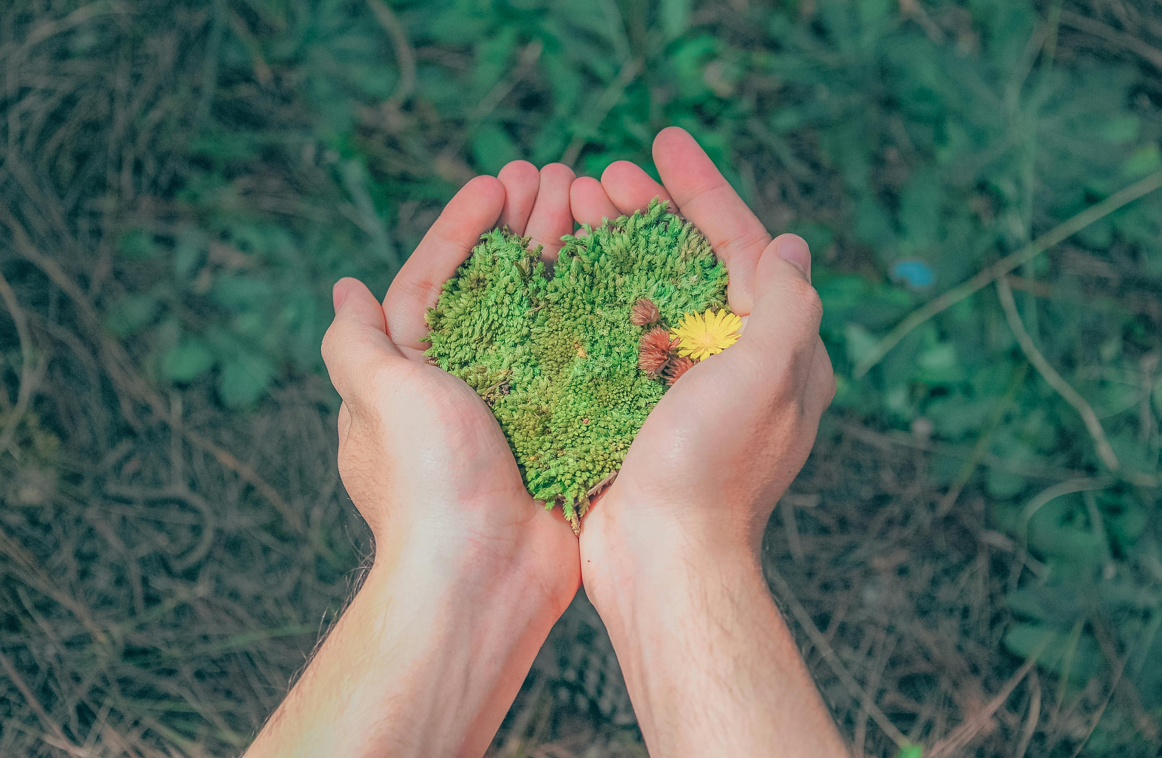 Should fashion brands boost sustainability teams despite budget strain?