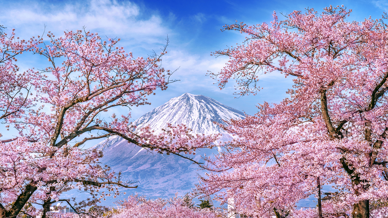 Have you ever considered living in another country?