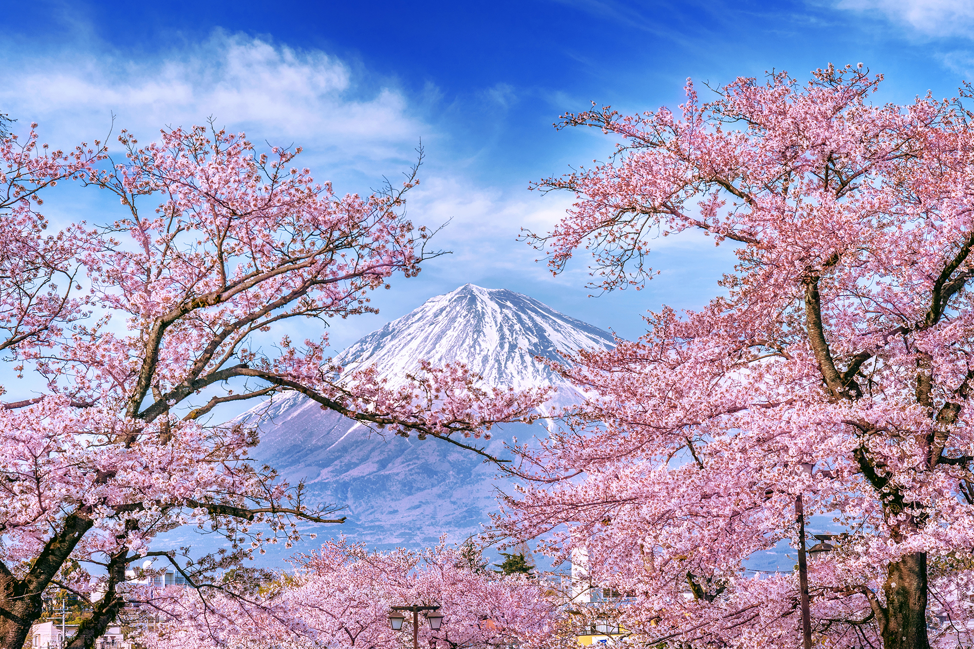 Have you ever considered living in another country?