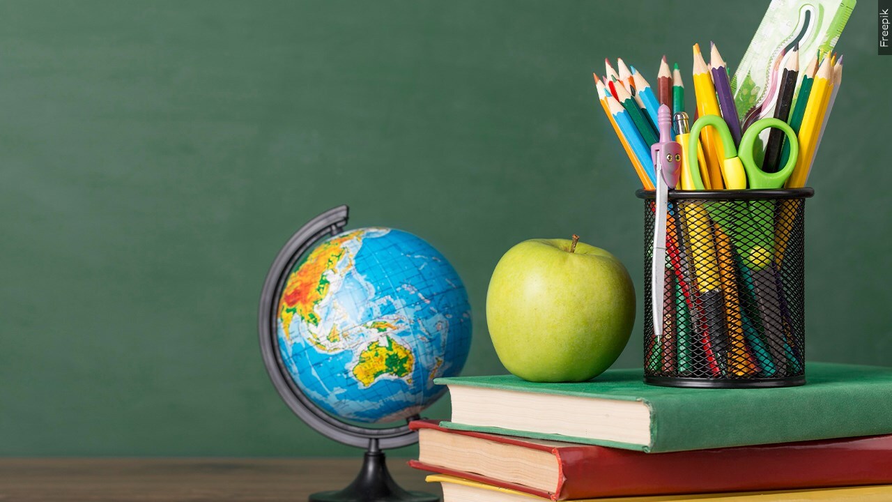Should there be bigger consequences for violence in schools?