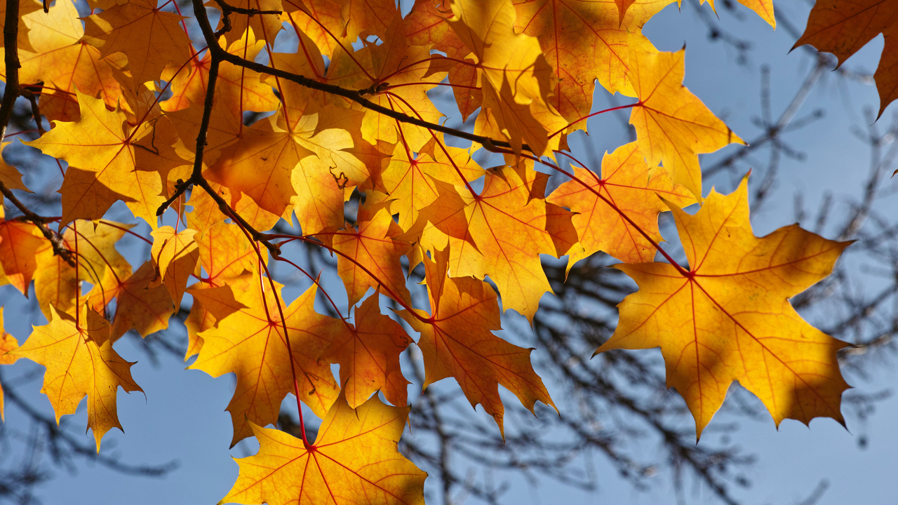 Are you ready for fall?