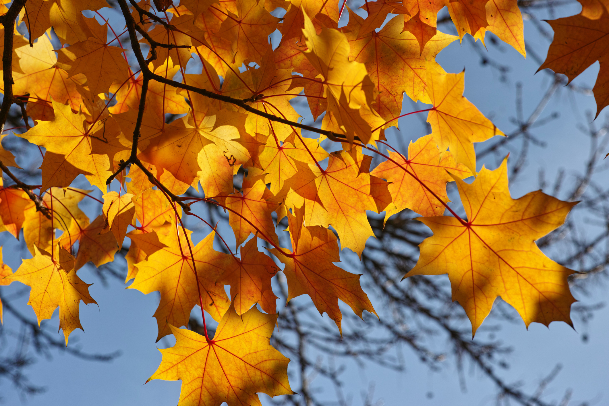Are you ready for fall?