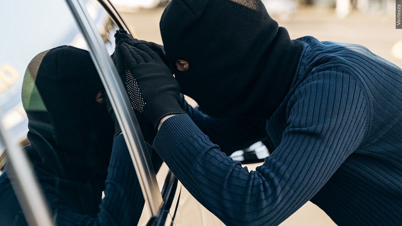 Are you taking precautions to ensure your car's safety?
