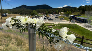 Could more be done to prevent gun violence?