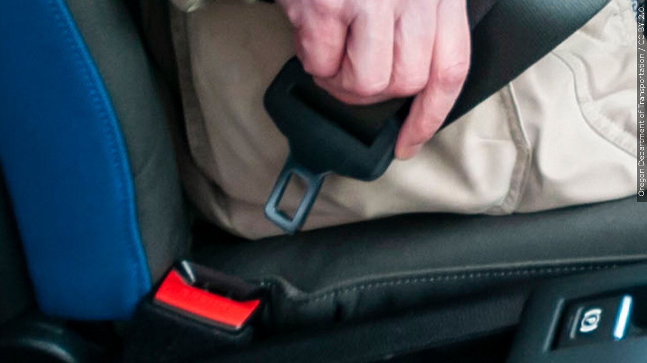 Should there be bigger fines for those caught not wearing a seatbelt?