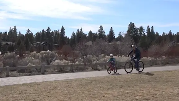Would you consider getting to work in a way that does not use a car?