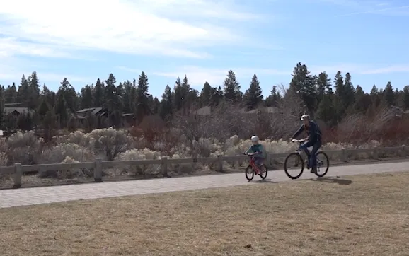 Would you consider getting to work in a way that does not use a car?