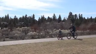 Would you consider getting to work in a way that does not use a car?