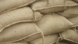 Did you get sandbags for the rain?
